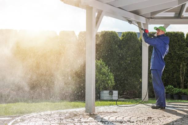 Best Roof Washing  in Palestine, TX